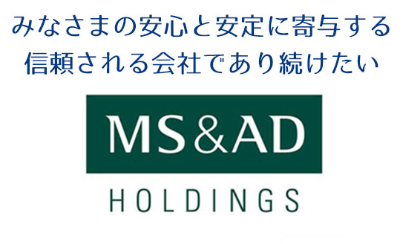 MS & AD HOLDINGS